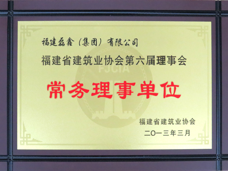 福建省建筑业协会常务理事单位