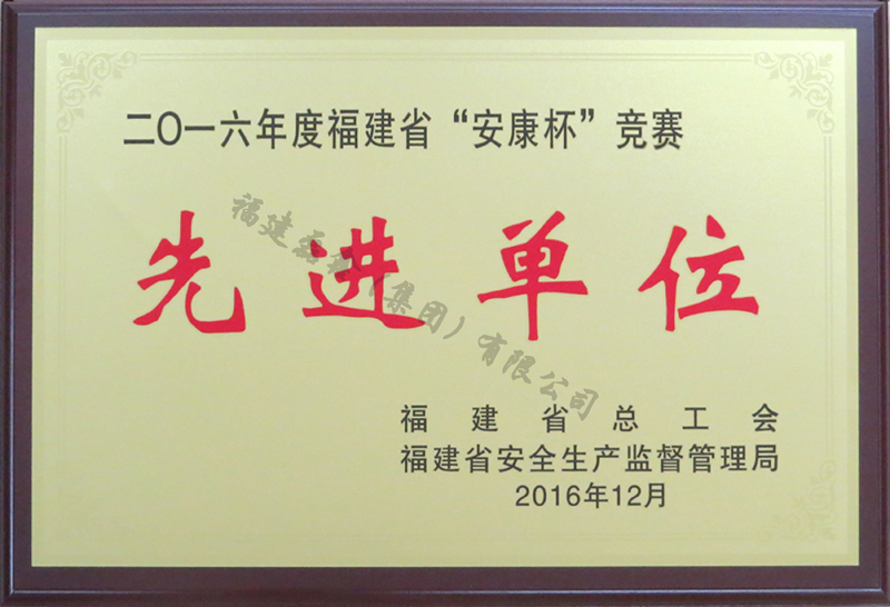2016年度福建省安康杯